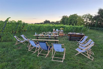 Voucher kwotowy do Winnicy Trzebnickiej – degustacja i zwiedzanie