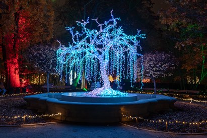 Rodzinny voucher do Ogrodu Świateł Lumagica Warszawa dla 4 osób
