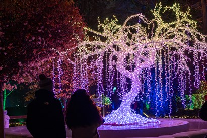 Lumagica Warszawa – voucher na spacer po Ogrodzie Świateł dla dwojga