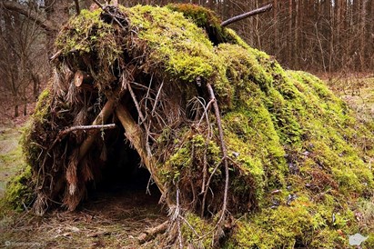 Selekcja survivalowa z LifeTrip – ekstremalne wyzwanie w terenie