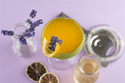 Kurs Domowego Barmana: Niezwykły świat organicznych cocktaili