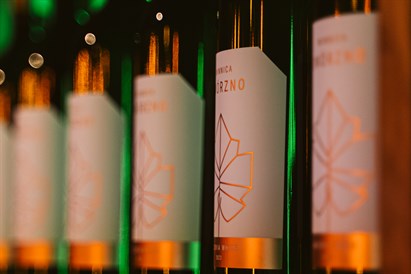 Voucher kwotowy do Winnicy Dwórzno – zwiedzanie, degustacja i więcej