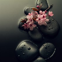 Masaż pleców gorącymi kamieniami w Klinice Anna Pikura we Wrocławiu