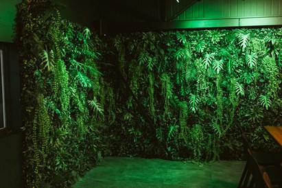 Zwiedzanie Winnicy Dwórzno z degustacją