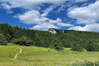 Weekendowy kurs wspinaczkowy dla początkujących na Jurze 