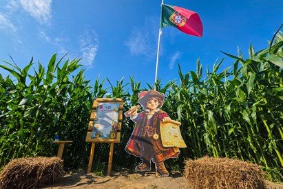 Labirynt w Polu Kukurydzy Zator - bilet ulgowy dla 1 osoby