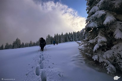  Zaawansowane szkolenie survivalowe od LifeTrip