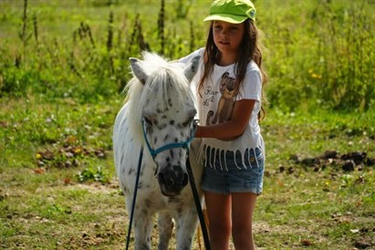 Spacer z końmi pod Warszawą: 1-2,5 h relaksu na łonie natury