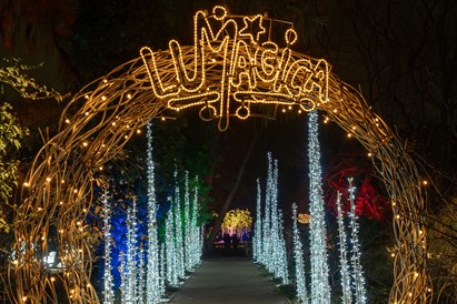 Lumagica Warszawa – voucher na spacer po Ogrodzie Świateł dla dwojga