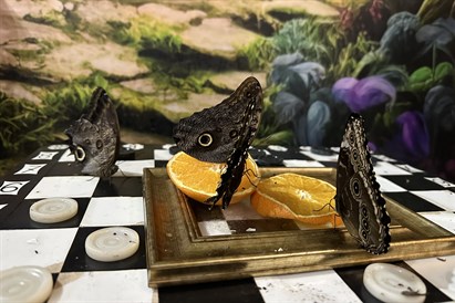 Rodzinna rozrywka w House of Attraction w Krakowie