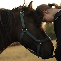 Sesja rozwojowa HAE w asyście koni – Osada Przygoda pod Warszawą