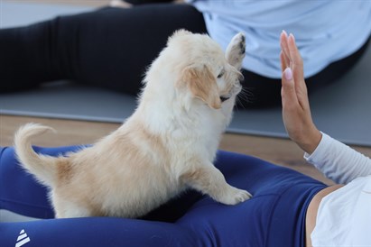 Puppy Yoga Warszawa: joga ze szczeniakami dla 1 lub 2 osób