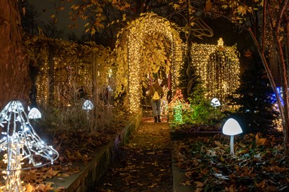 Rodzinny voucher do Ogrodu Świateł Lumagica Warszawa dla 4 osób