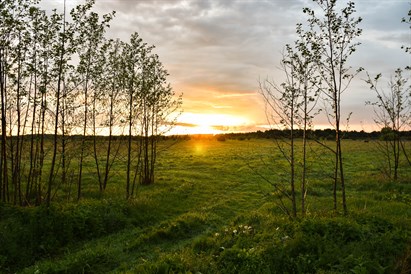 Jazda quadem dla dwojga w Dolinie Narwi w okolicach Łomży – QuadXtreme