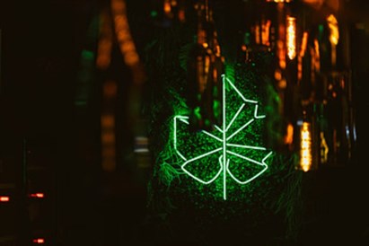 Romantyczne zwiedzanie Winnicy Dwórzno z degustacją - mazowiecka Toskania dla dwojga