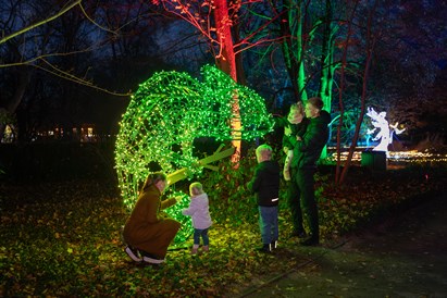 Rodzinny voucher do Ogrodu Świateł Lumagica Warszawa dla 4 osób