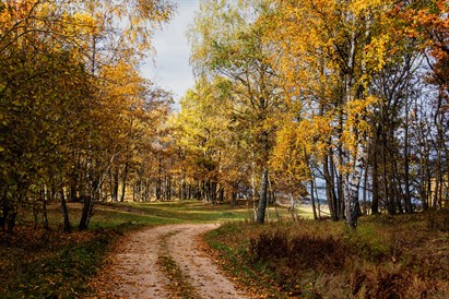 Jazda quadem dla dwojga w Dolinie Narwi w okolicach Łomży – QuadXtreme