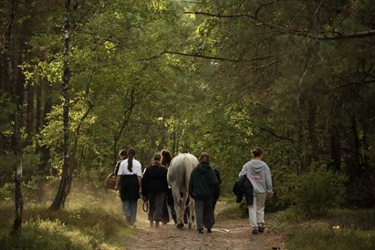 Spacer z końmi pod Warszawą: 1-2,5 h relaksu na łonie natury
