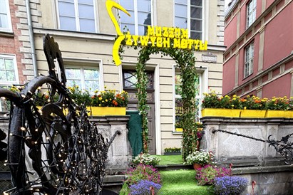Muzeum Żywych Motyli w Gdańsku - bilet dla 1 osoby