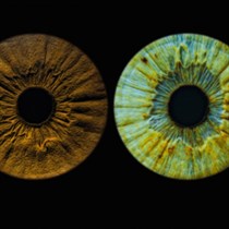 Artystyczne zdjęcia tęczówki oka w EYE GALLERY 