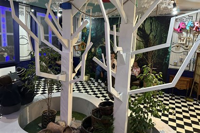 Muzeum żywych Motyli w House of Attraction w Krakowie