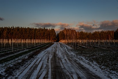 Winnica Dwórzno zimą – zwiedzanie, degustacja i wino dla dwojga!
