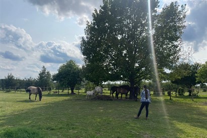 Sesja rozwojowa HAE w asyście koni – Osada Przygoda pod Warszawą