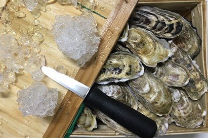 Degustacja ostryg dla dwóch osób - Sopot i Warszawa