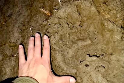 Selekcja survivalowa LifeTrip – ekstremalne wyzwanie w terenie