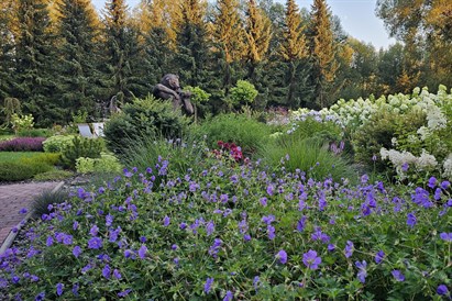 Voucher podarunkowy do Niedźwiedzia Residence w Poroninie