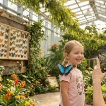 Motylarnia w Mielnie - egzotyczna podróż wśród żywych motyli