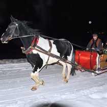 Kulig wieczorny z pochodniami w Zakopanem dla 2 osób | 50 min