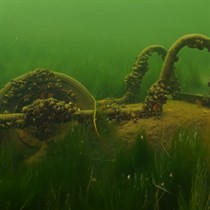 Odkryj podwodny świat – nurkowanie w kamieniołomie z instruktorem