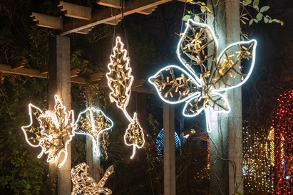 Lumagica Warszawa – voucher na spacer po Ogrodzie Świateł dla dwojga