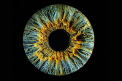 Zdjęcie tęczówki oka: artystyczna sesja w A-Eye Gallery Łódź