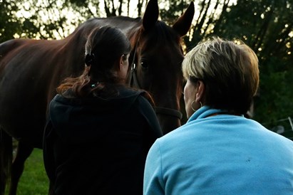 Sesja rozwojowa HAE w asyście koni – Osada Przygoda pod Warszawą
