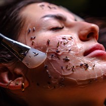 Masaż twarzy Kobido z maską aloesową - Masaje SPA Wrocław