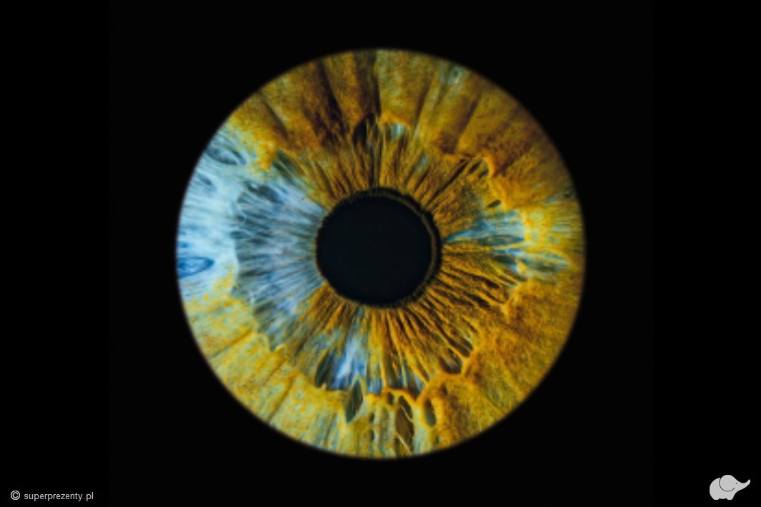 Magia oka – niepowtarzalna sesja w A-Eye Gallery we Wrocławiu