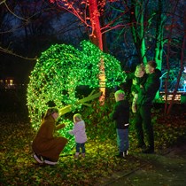 Rodzinny voucher do Ogrodu Świateł Lumagica Warszawa dla 4 osób