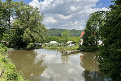 Wędkowanie w Bardo na prezent – Łowisko pod Lasem Bardzkim