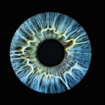 Artystyczne zdjęcia tęczówki oka w A-Eye Gallery w Warszawie