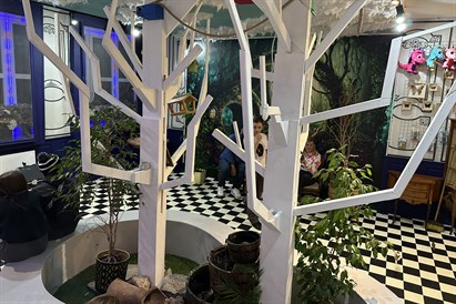 Super Przeżycia w Parku Rozrywki House of Attraction w Krakowie