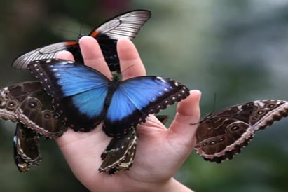 Rodzinna rozrywka w House of Attraction w Krakowie