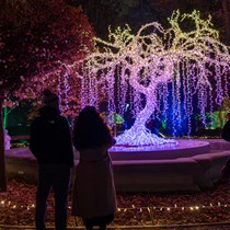 Lumagica Warszawa – voucher na spacer po Ogrodzie Świateł dla dwojga