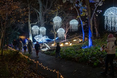 Rodzinny voucher do Ogrodu Świateł Lumagica Warszawa dla 4 osób