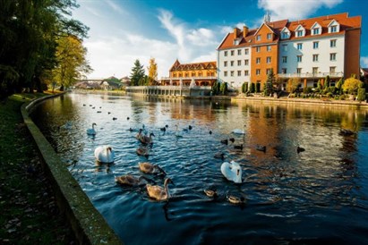 Lunch z domowym deserem dla jednej osoby - Hotel nad Pisą