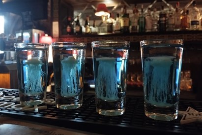 Voucher kwotowy do Chicago Bar w Krakowie – wielokrotnego użytku