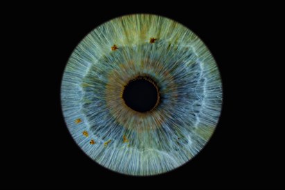 Zdjęcie tęczówki oka: artystyczna sesja w A-Eye Gallery Łódź