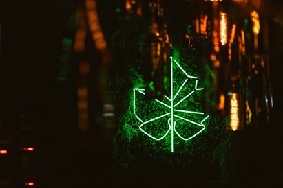 Zwiedzanie Winnicy Dwórzno z degustacją i winami w prezencie