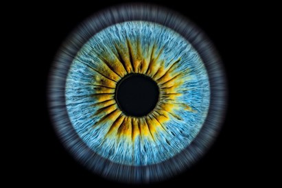 Zdjęcie tęczówki oka: artystyczna sesja w A-Eye Gallery Łódź